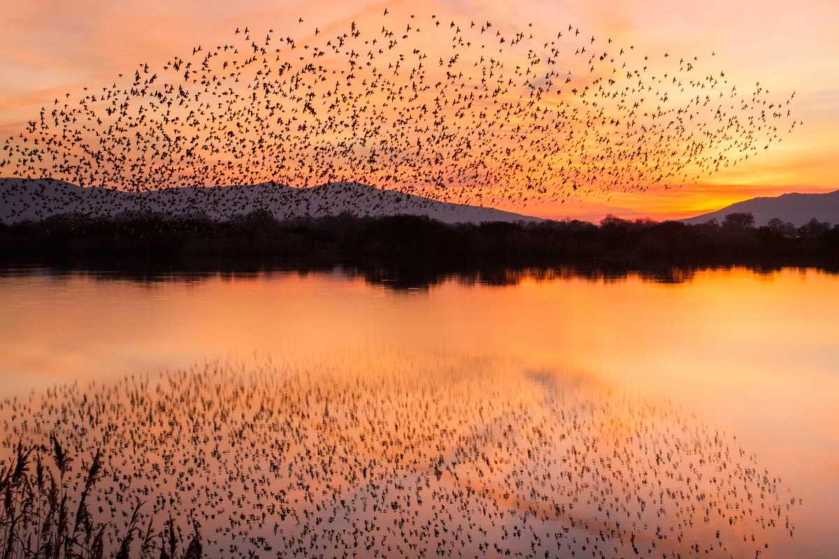Lagoa Antela Xeodestino A Limia